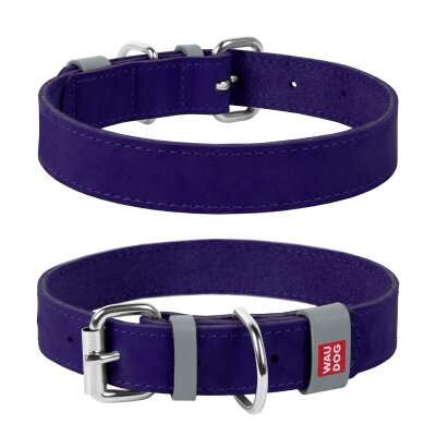 Нашийник для собак Collar WAUDOG Classic шкіряний, металева пряжка, ширина 12 мм, довжина 19-25 см, фіолетовий