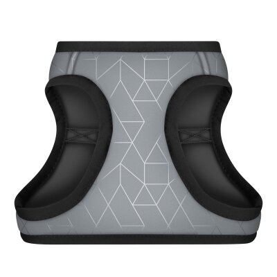 Шлея для собак Collar WAUDOG Clothes м'яка з QR паспортом розмір S1, обхват грудей 40-45 см, обхват шиї 29-31 см