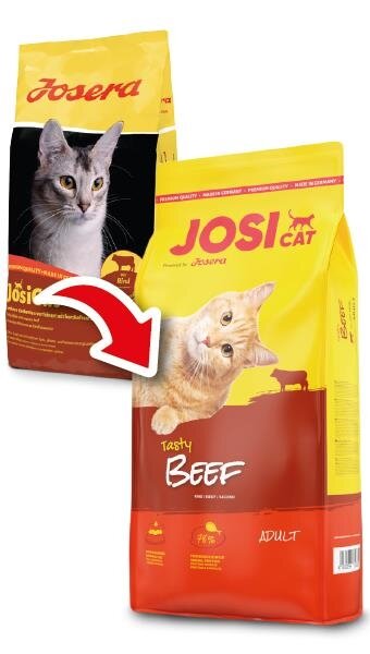 Корм сухий для дорослих котів Josera JosiCat Tasty Beef Rind з яловичиною, 650 г