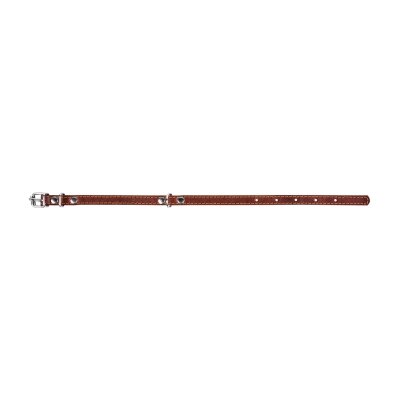 Нашийник Collar 00036 одинарний, ширина 14 мм, довжина 27-35 см, коричневий