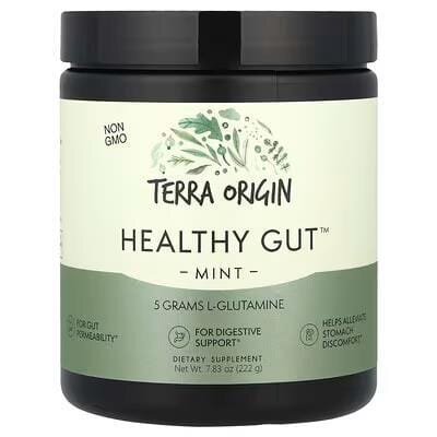 Комплекс для нормальної роботи ШКТ Terra Origin Healthy Gut зі смаком м'яти, 243 г
